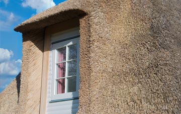 Seifton thatch roof disadvantages